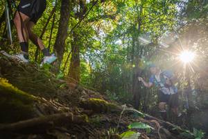 BIB: 
                            <button type="button" onclick="openModal(16015616)" class="btn btn-primary btn-sm float-right btn-popup" data-toggle="modal" data-target=".modal-high-quality">
                        <i class="fas fa-shopping-cart"></i> Add to Cart
                    </button>
                                            <button type="button" onclick="isThisMe(16015616, true)" class="btn btn-success btn-sm float-right btn-popup btn-isme hidden" data-toggle="tooltip" data-placement="bottom" title="นี่คือรูปของคุณใช่ไหม คลิกที่นี่เพื่อเอาเข้าอัลบั้ม">
                        <i class="fas fa-plus"></i> Add to album
                    </button>
                    <button type="button" onclick="isThisMe(16015616, false)" class="btn btn-warning btn-sm float-right btn-popup btn-isnotme hidden">
                        <i class="fas fa-ban"></i> Remove from album
                    </button>